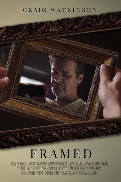 Framed afişi