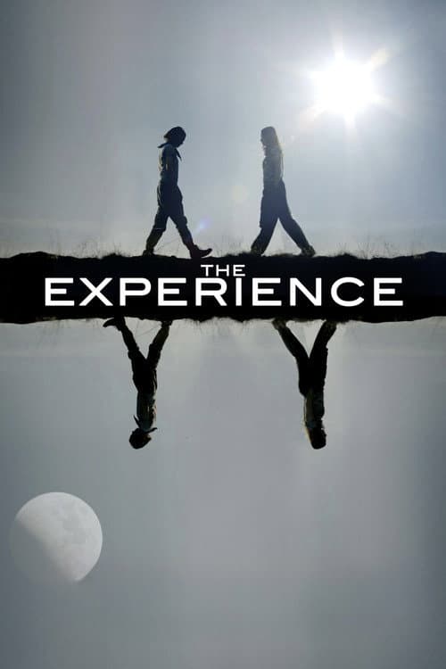 The Experience afişi