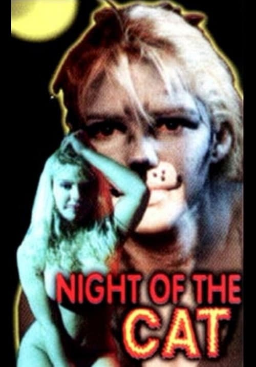 Night of the Cat afişi