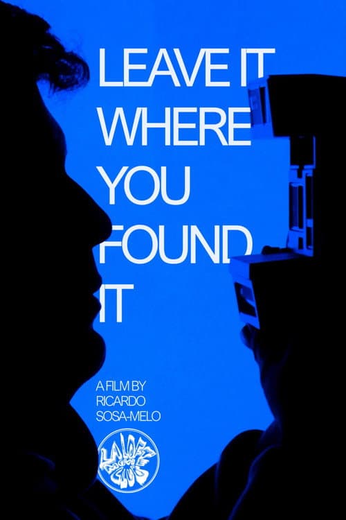 Leave It Where You Found It afişi
