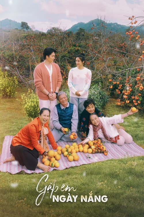 Gặp em ngày nắng afişi