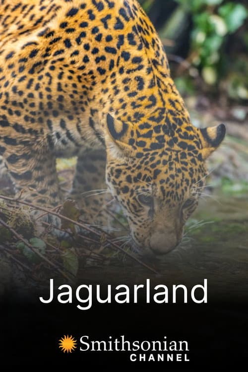 Jaguarland afişi