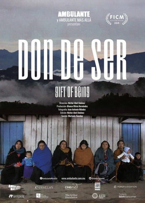 Don de ser afişi