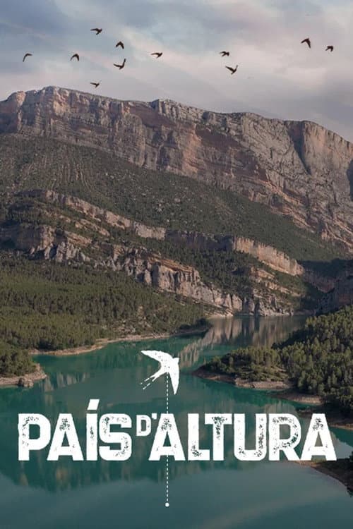País d'altura afişi