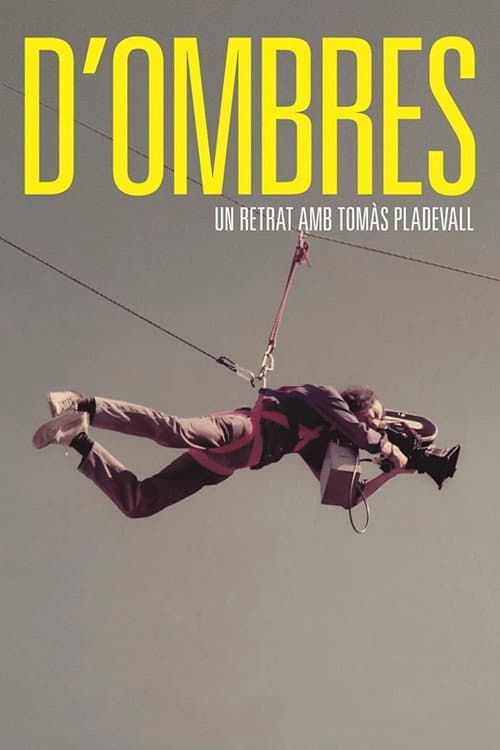 D'ombres afişi