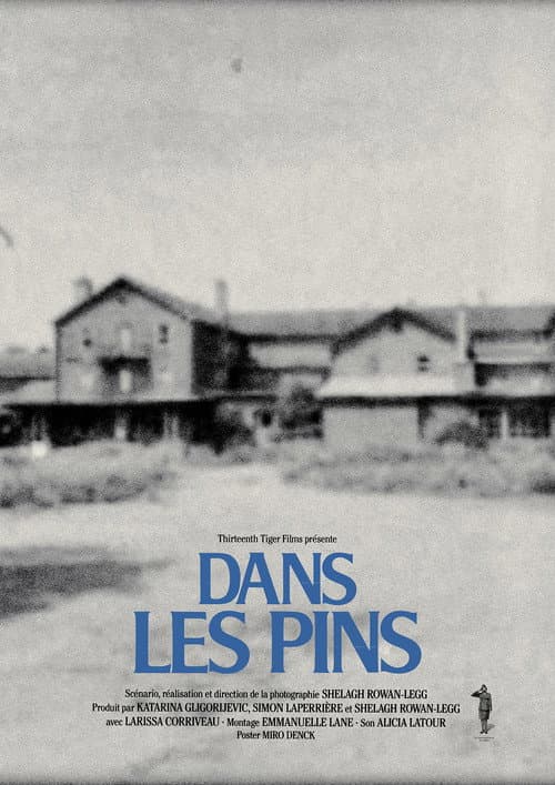 Dans les pins afişi