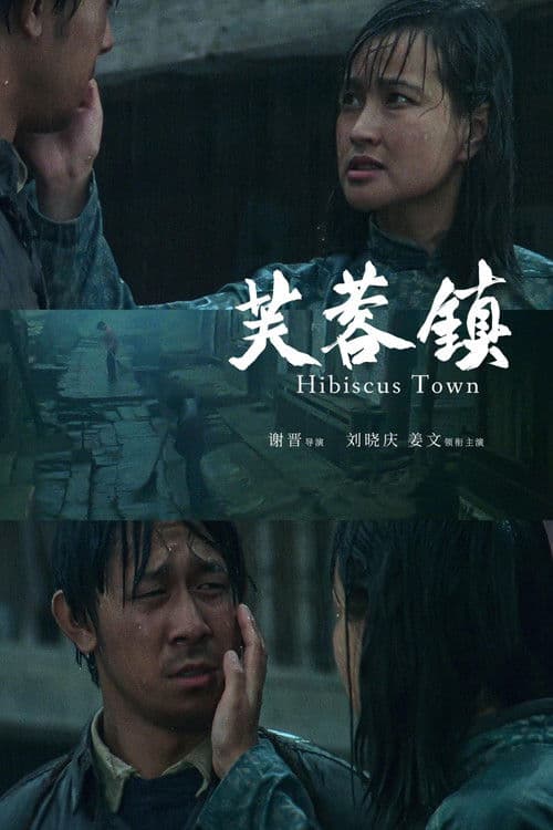 Hibiscus Town afişi