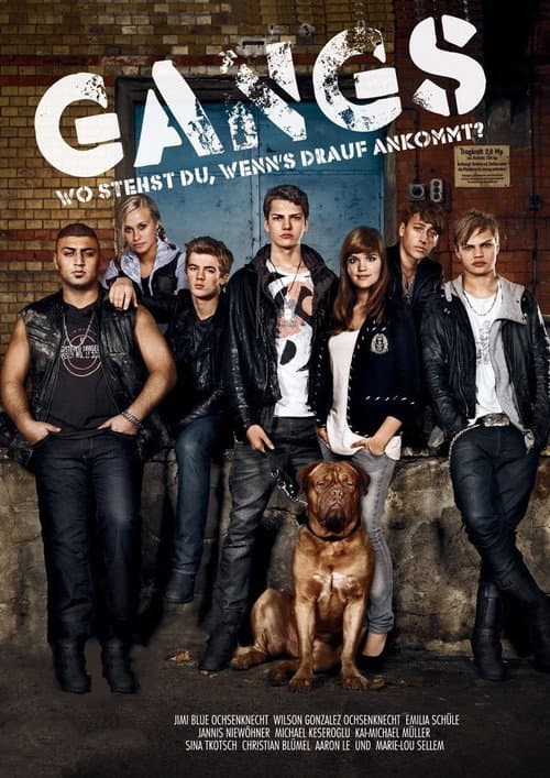 Gangs afişi