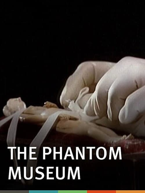 The Phantom Museum: Random Forays Into the Vaults of Sir Henry Wellcome's Medical Collection afişi