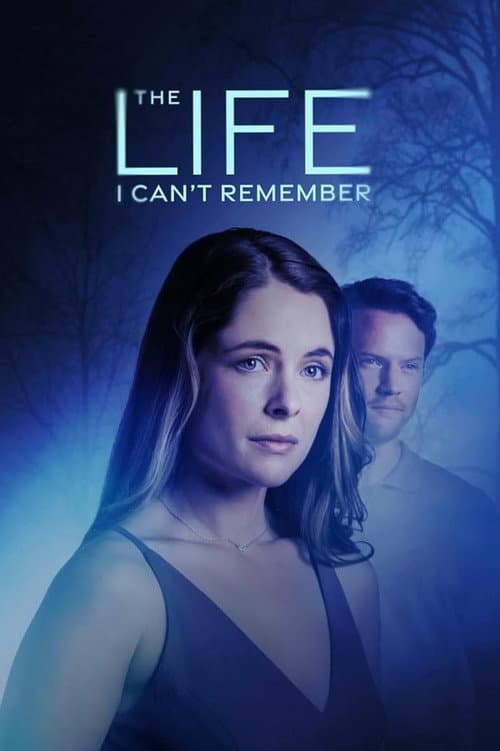 The Life I Can't Remember afişi