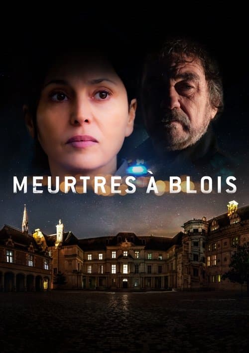 Meurtres à Blois afişi