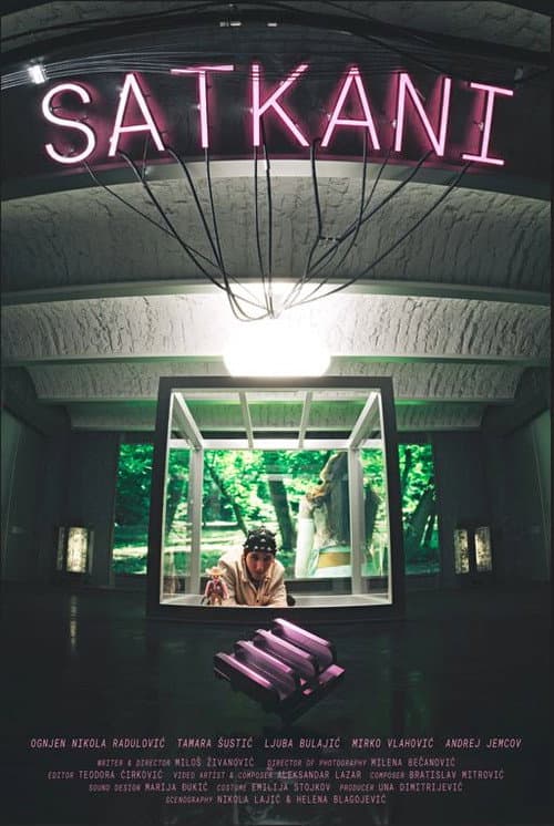 Satkani afişi