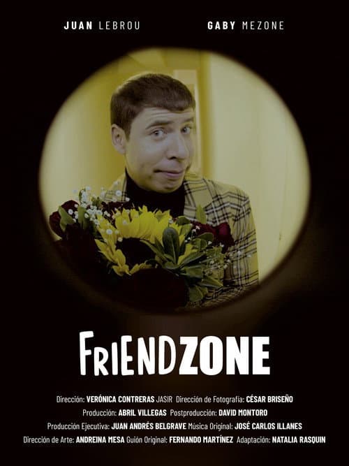 FriendZone afişi