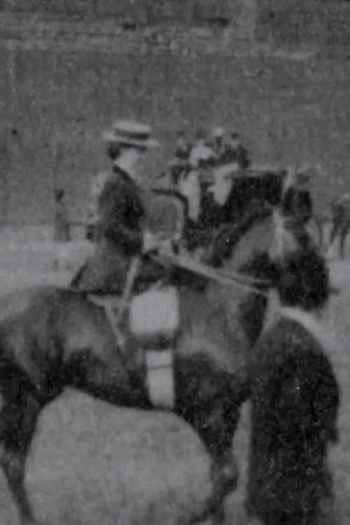 Ladies' Saddle Horses afişi