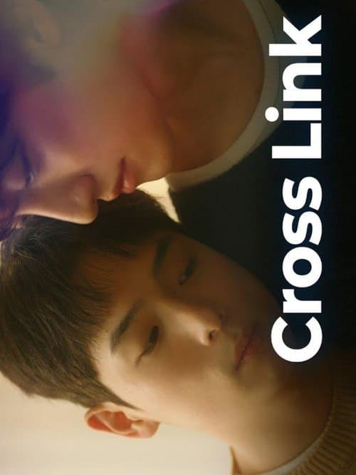 Cross Link afişi