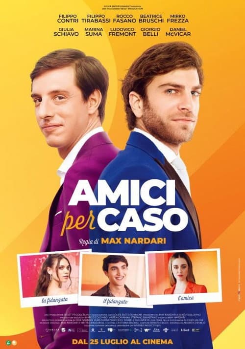 Amici per caso afişi