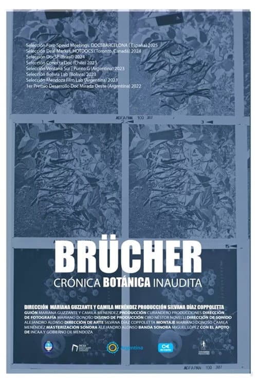 Brücher, Crónica Botánica Inaudita afişi