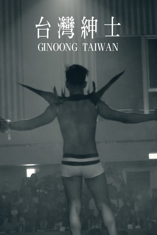 Ginoong Taiwan afişi