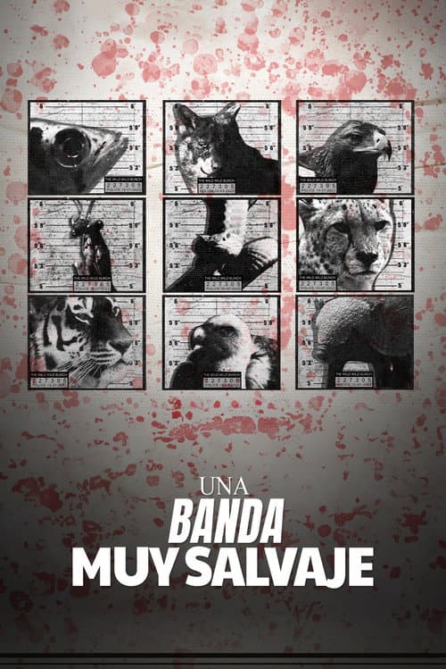 Una banda muy salvaje afişi