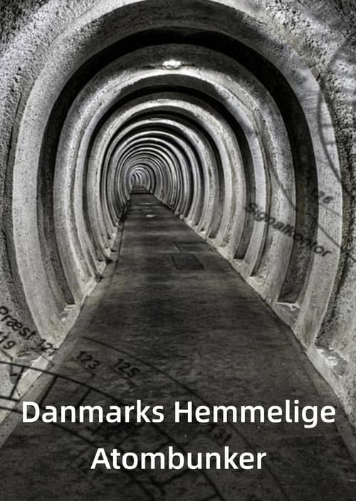 Danmarks hemmelige atombunker afişi