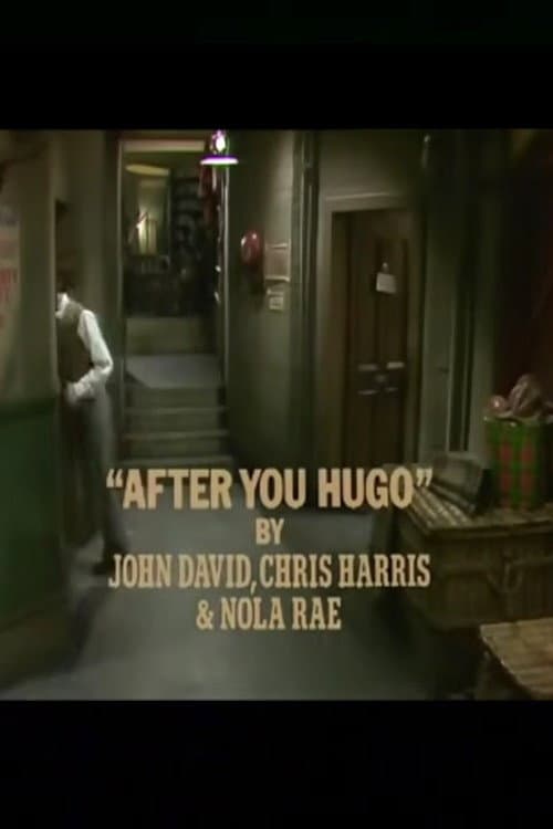 After You, Hugo afişi