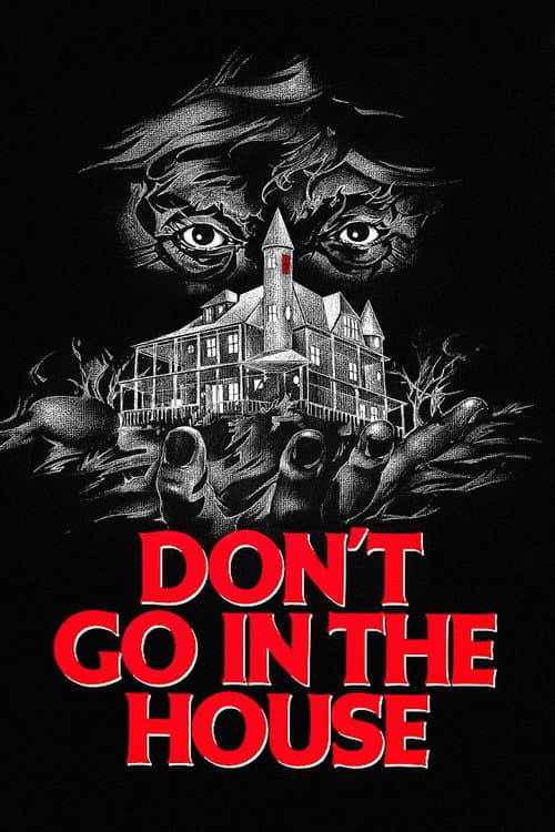 Don't Go in the House afişi