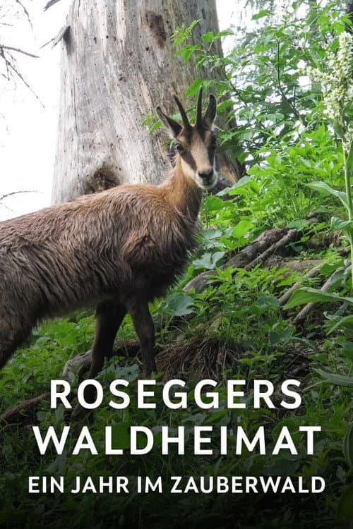 Roseggers Waldheimat - Ein Jahr im Zauberwald afişi