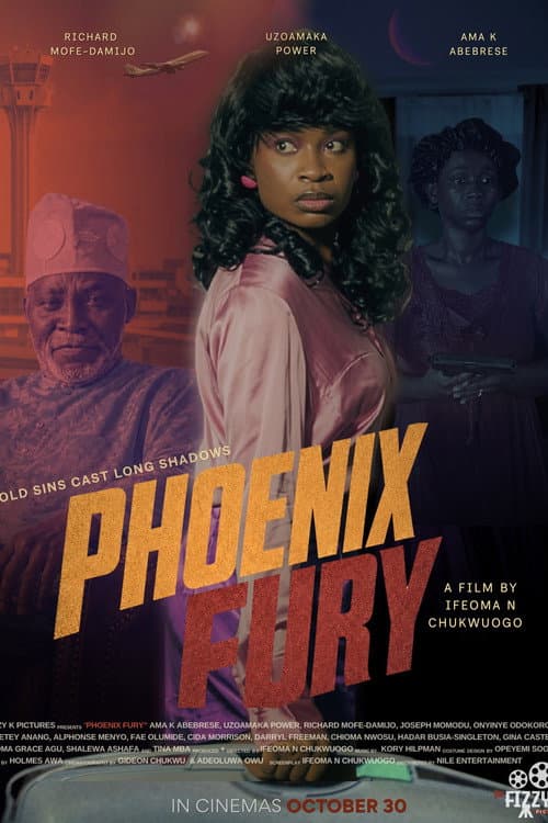 Phoenix Fury afişi