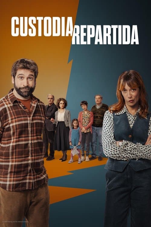 Shared Custody afişi