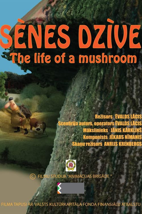 Sēnes dzīve afişi