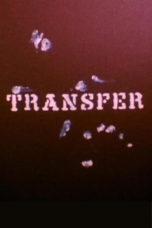 Transfer afişi