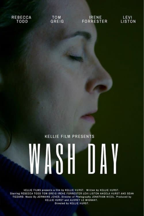 Wash Day afişi