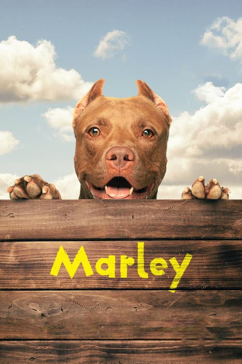 Marley afişi