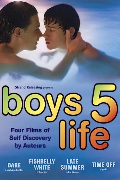 Boys Life 5 afişi