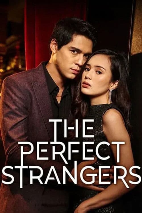 The Perfect Strangers afişi