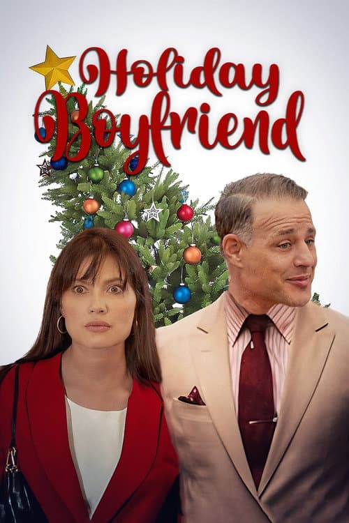 Holiday Boyfriend afişi