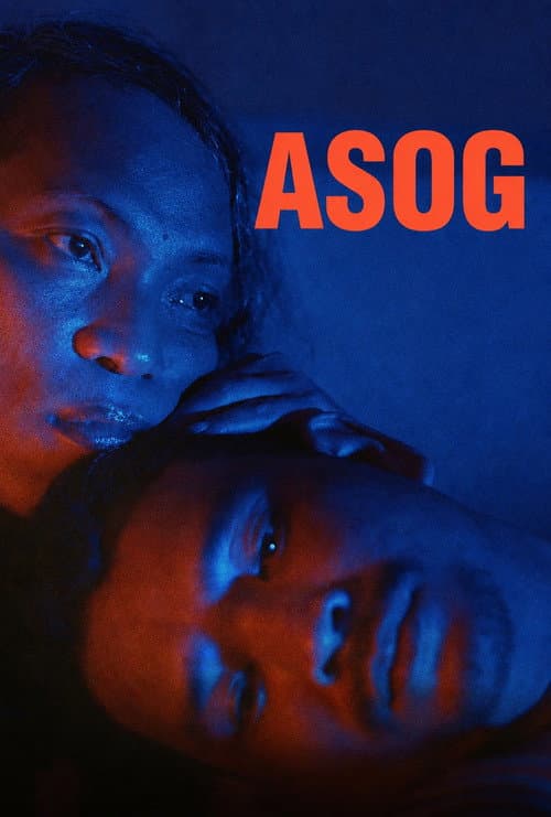 Asog afişi