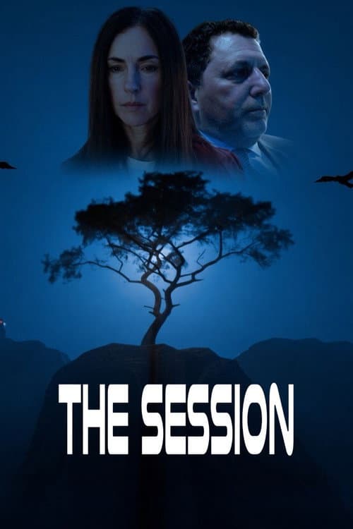 The Session afişi