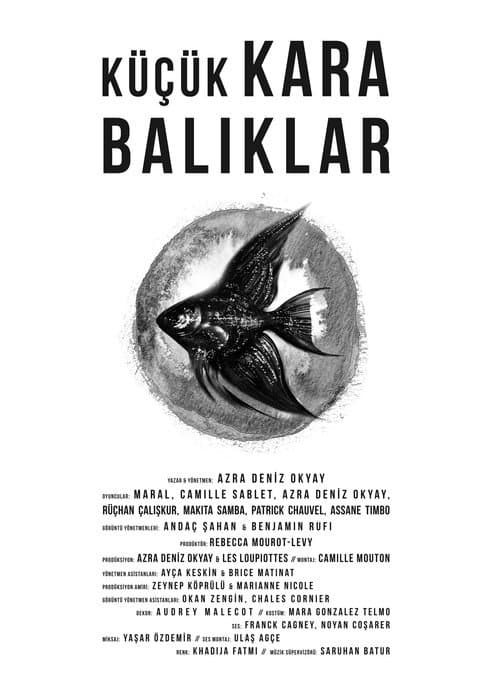 Küçük Kara Balıklar afişi