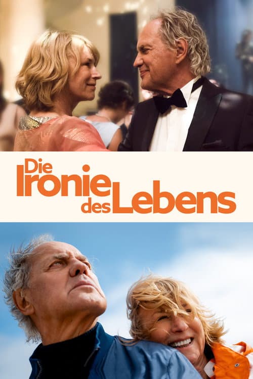 Die Ironie des Lebens afişi