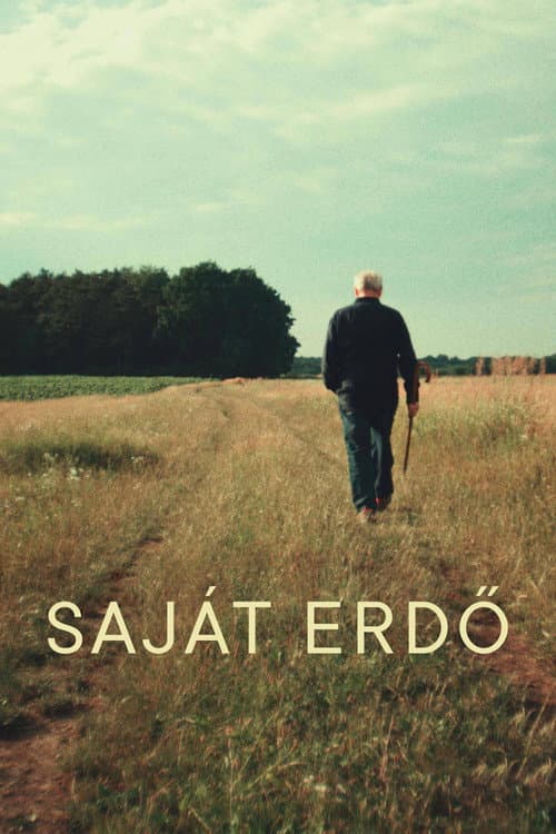 Saját erdő afişi