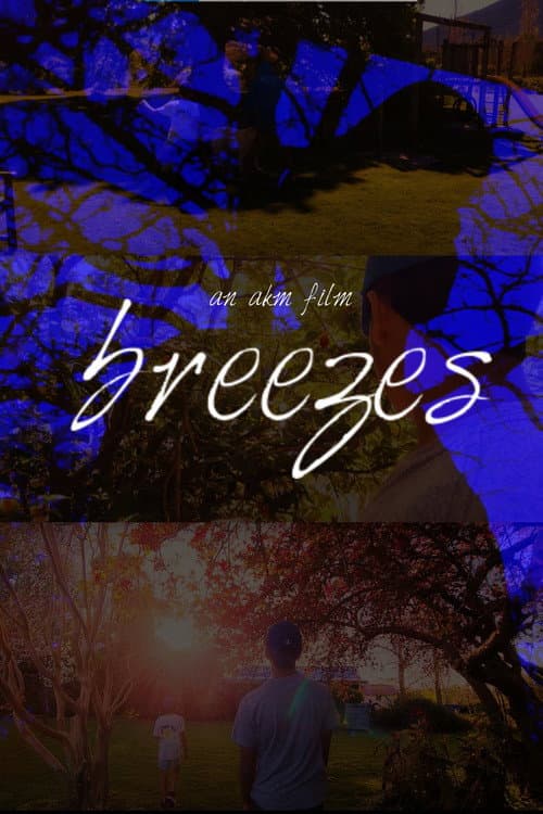 Breezes afişi