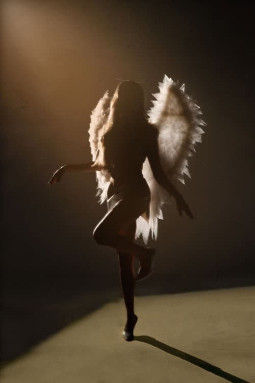 Victoria Secret Fashion Show 2026 afişi