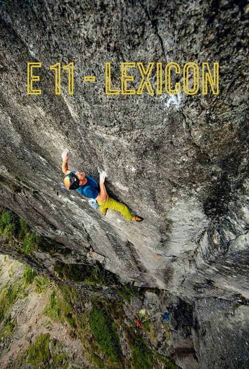 E11 - Lexicon afişi