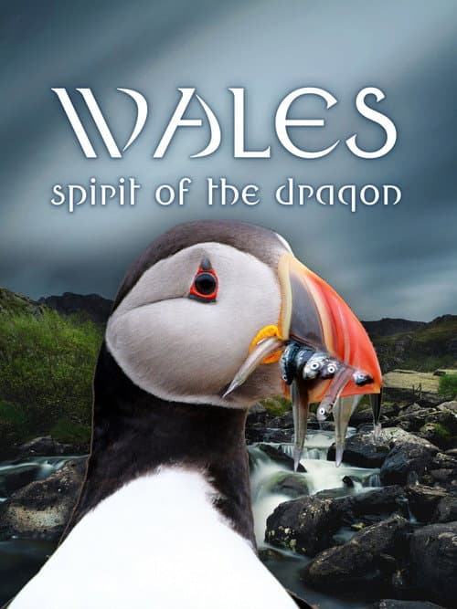 Wildes Wales afişi