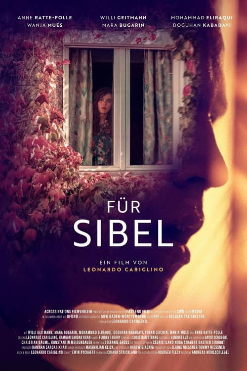 Für Sibel afişi
