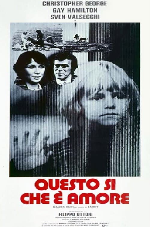 Questo sì che è amore afişi