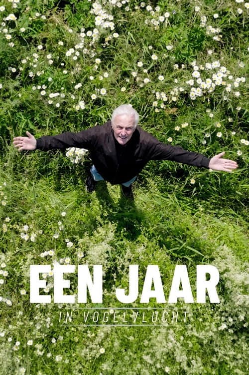 Een jaar in vogelvlucht afişi