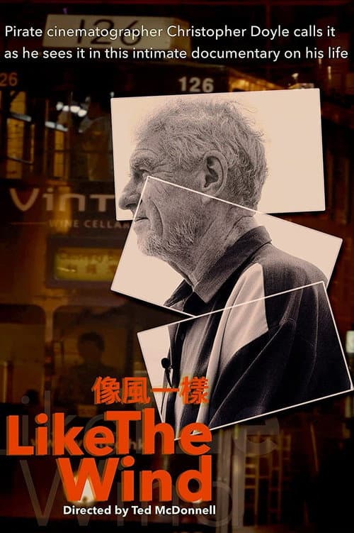 Like the Wind afişi