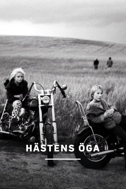 Hästens öga afişi